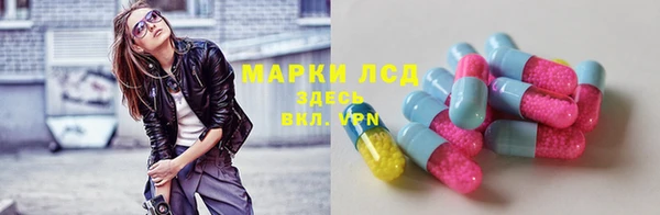 крисы Михайловск
