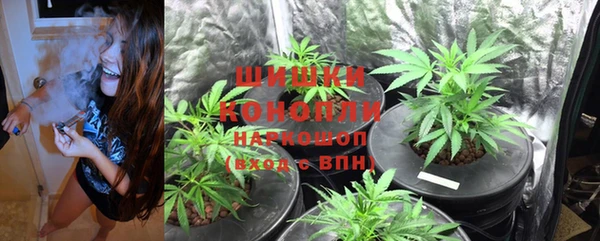 амф Надым