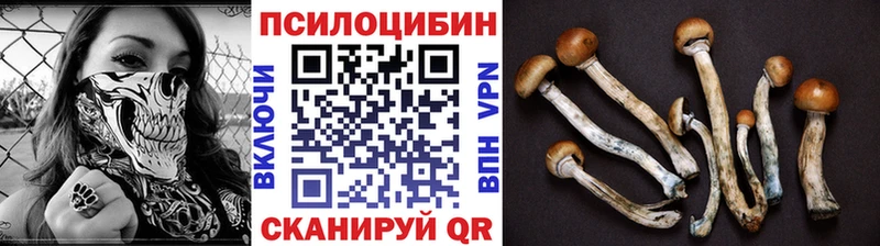 Псилоцибиновые грибы Psilocybe  Макушино 